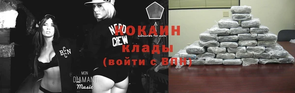 крисы Белокуриха