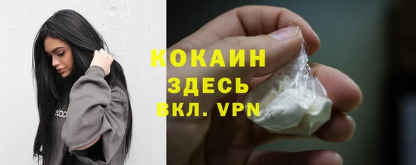 крисы Белокуриха