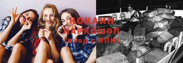 крисы Белокуриха