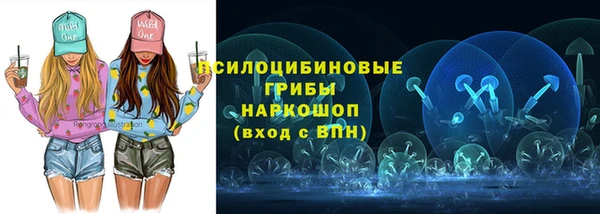 крисы Белокуриха