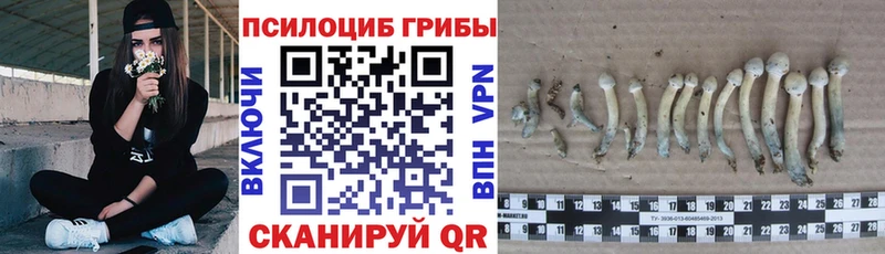Галлюциногенные грибы MAGIC MUSHROOMS  где купить наркоту  Яхрома 